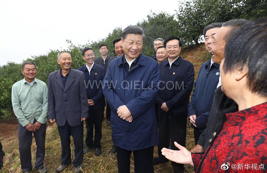 光山油茶籽榨油設(shè)備，山茶籽油榨油機(jī)廠家(圖2)