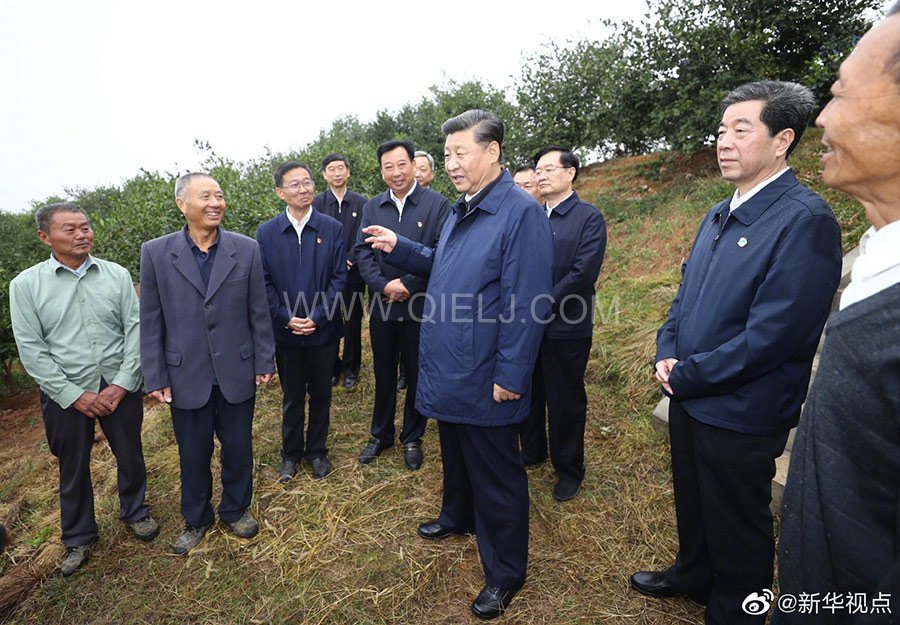 光山油茶籽榨油設(shè)備，山茶籽油榨油機(jī)廠家(圖3)